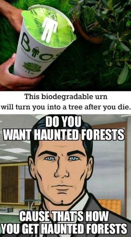 This biodegradable urn will turn you into a tree after you die.
DO YOU WANT HAUNTED FORESTS
CAUSE THAT'S HOW YOU GET HAUNTED FORESTS