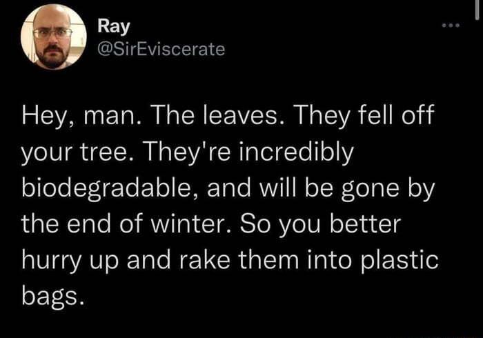 Ray SirEviscerate Hey man The leaves They fell off your tree Theyre incredibly ofeleTETo Y o SHETale RVYI N oTRe 3 1N o the end of winter So you better hurry up and rake them into plastic SEY CH