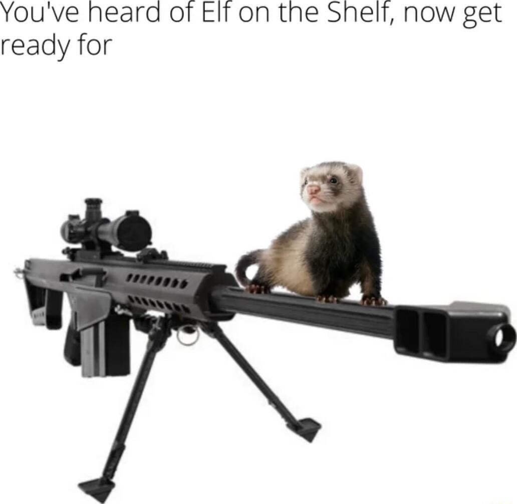 Youve heard of EIf on the Shelf now get ready for