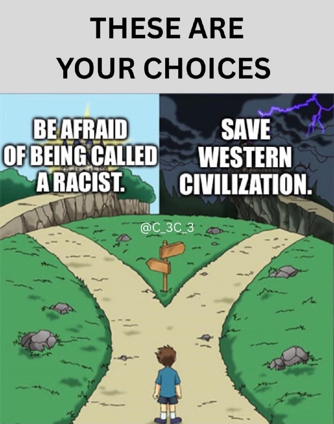THESE ARE YOUR CHOICES BE AFRAID OF BEING CALLED A RACIST. SAVE WESTERN CIVILIZATION.