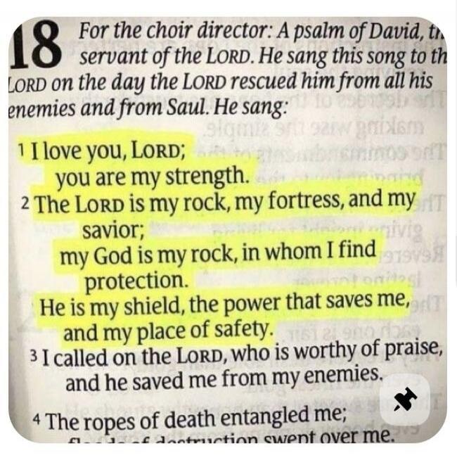 I love you, LORD; you are my strength. The LORD is my rock, my fortress, and my savior; my God is my rock, in whom I find protection. He is my shield, the power that saves me, and my place of safety. I called on the LORD, who is worthy of praise, and he saved me from my enemies.