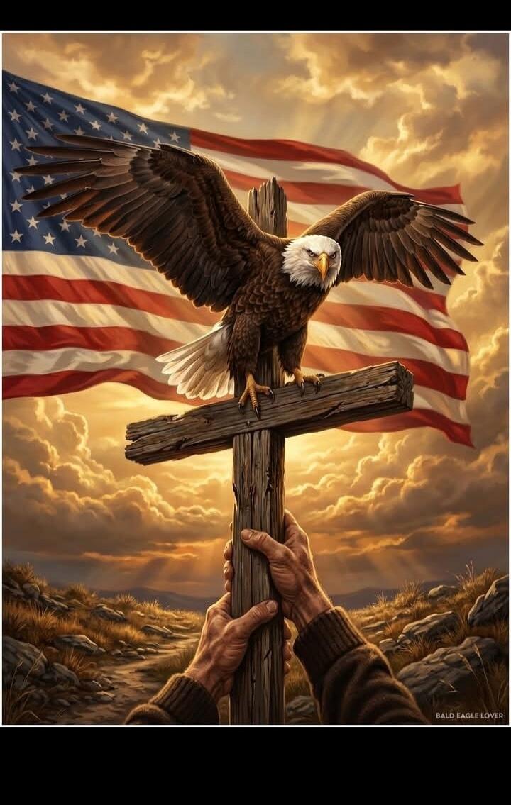 BALD EAGLE LOVER