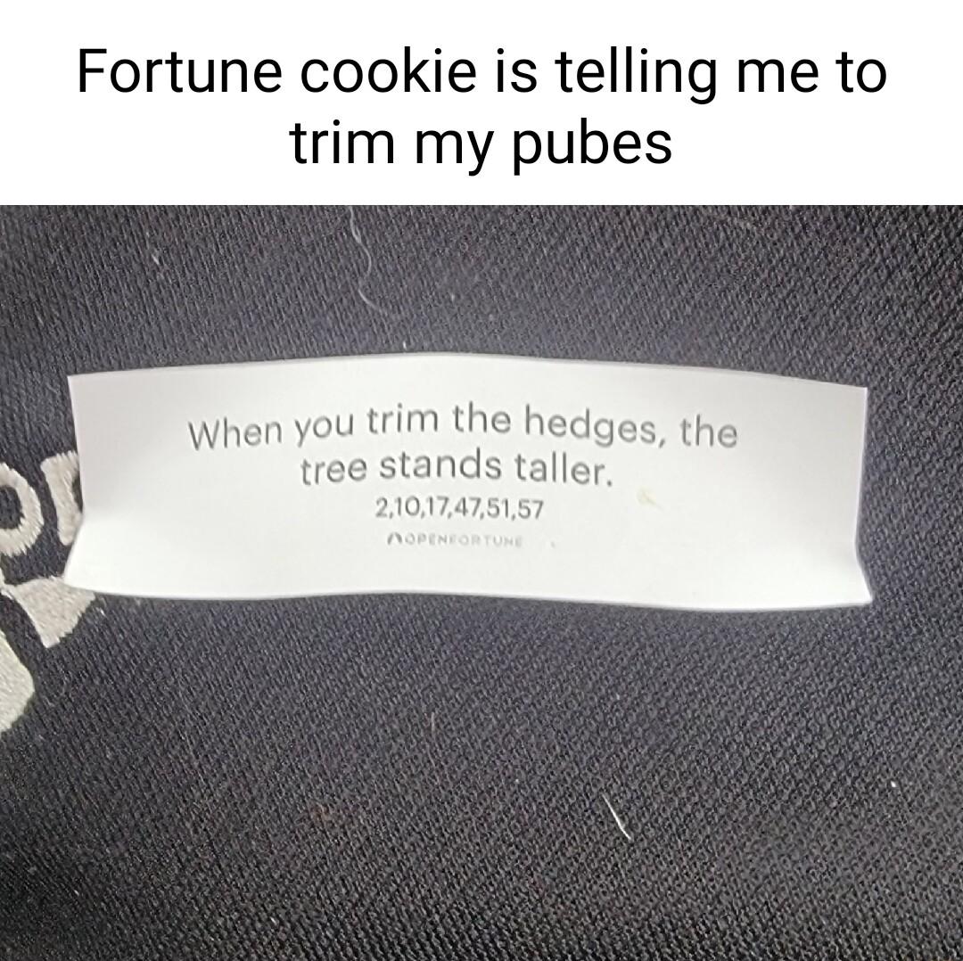 Fortune cookie is telling me to trim my pubes When you trim the hedges the ands taller