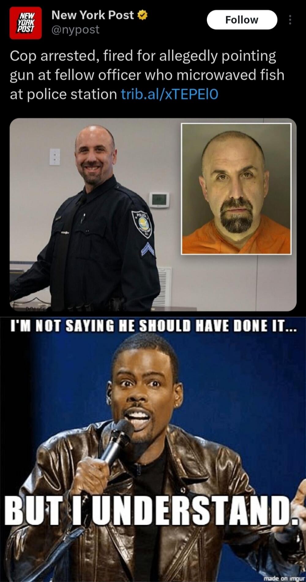 New York Post Cop arrested, fired for allegedly pointing gun at fellow officer who microwaved fish at police station trib.al/xTEPEIO I'M NOT SAYING HE SHOULD HAVE DONE IT... BUT I UNDERSTAND.