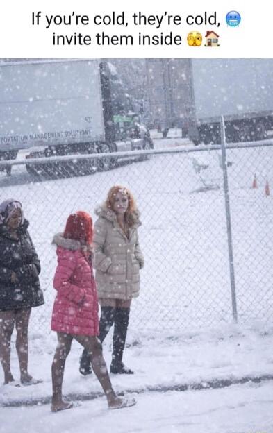 If you're cold, they're cold, invite them inside 🥶🏠