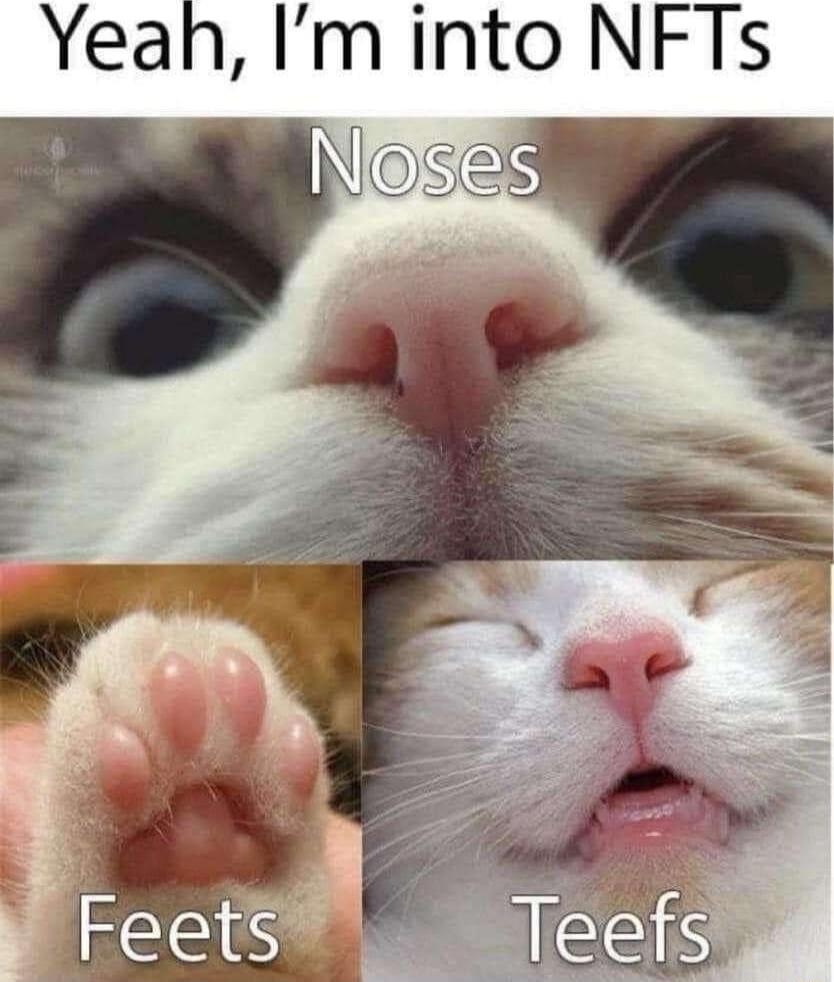 Iminto NFTs S Feetsqifgf