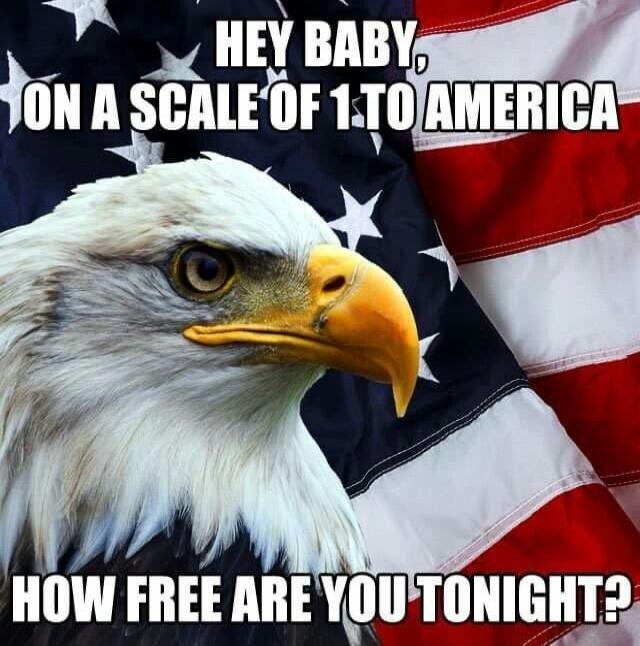 HEY BABY, ON A SCALE OF 1 TO AMERICA HOW FREE ARE YOU TONIGHT?