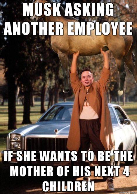 MUSK ASKINE ANIITIIEII EMPLOYEE v f S lHIlIIIIEJIIL