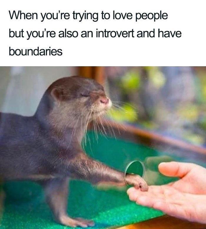 When youre trying to love people but youre also an introvert and have boundaries