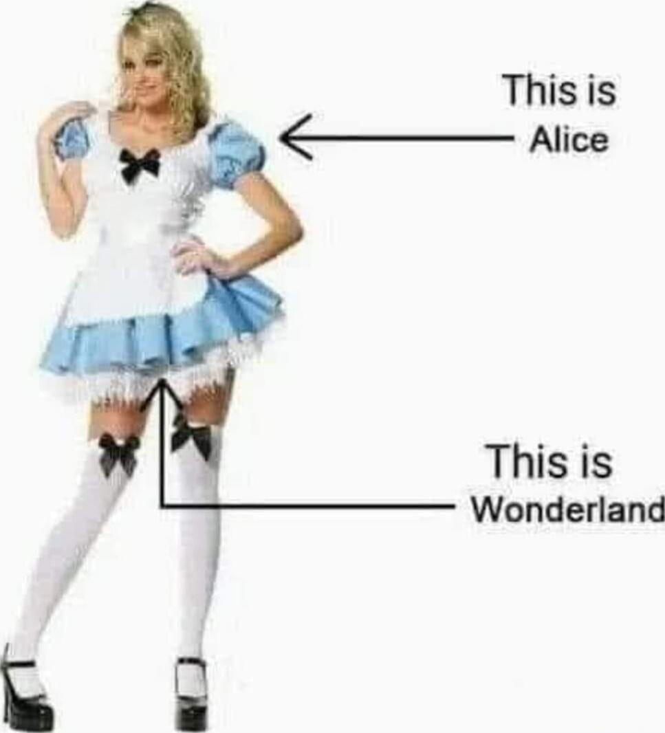 This is Alice
This is Wonderland