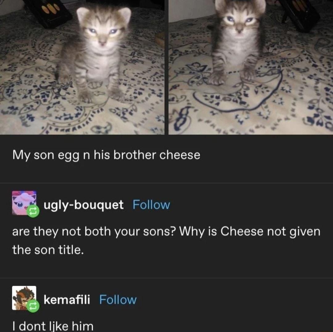 My son egg n his brother cheese ugly bouquet Follow are they not both your sons Why is Cheese not given the son title kemafii Follow dont like him
