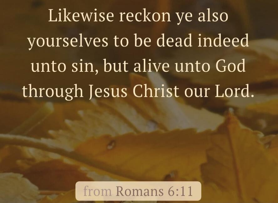 Likewise reckon ye also yourselves to be dead indeed unto sin, but alive unto God through Jesus Christ our Lord.
from Romans 6:11