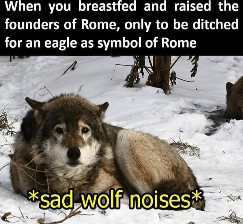 When you breastfed and raised founders of Rome only to be ditched