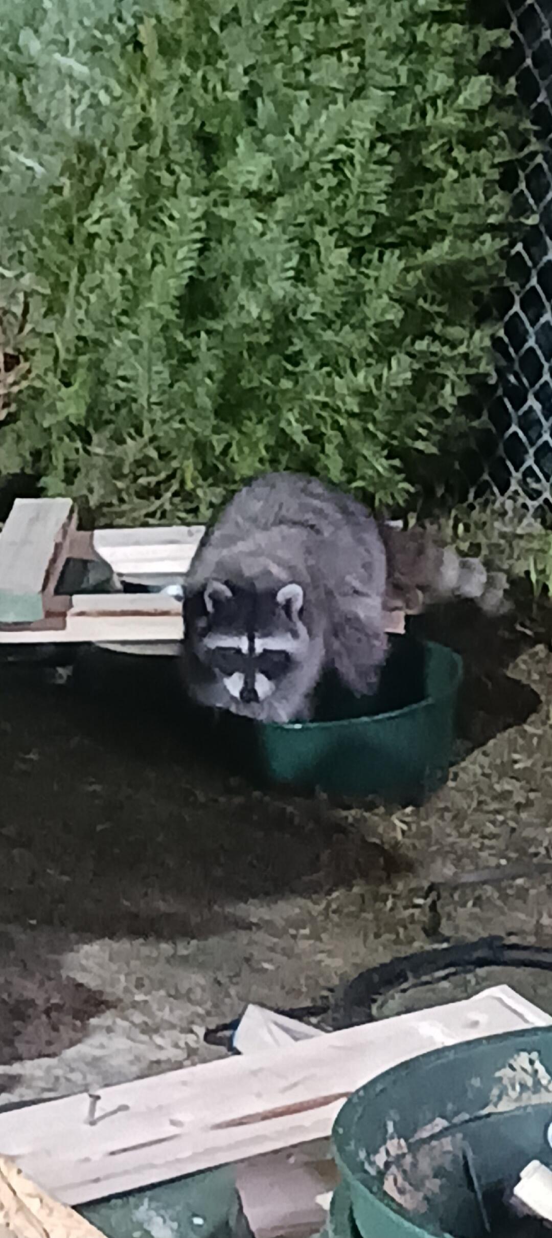 Session ID: 1034015.