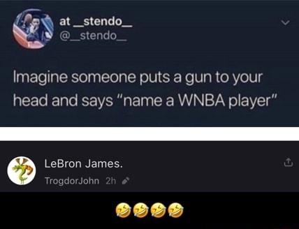 ey at _stendo__ Imagine someone puts a gun to your head and says name a WNBA player a LeBron James TrogdorJohn