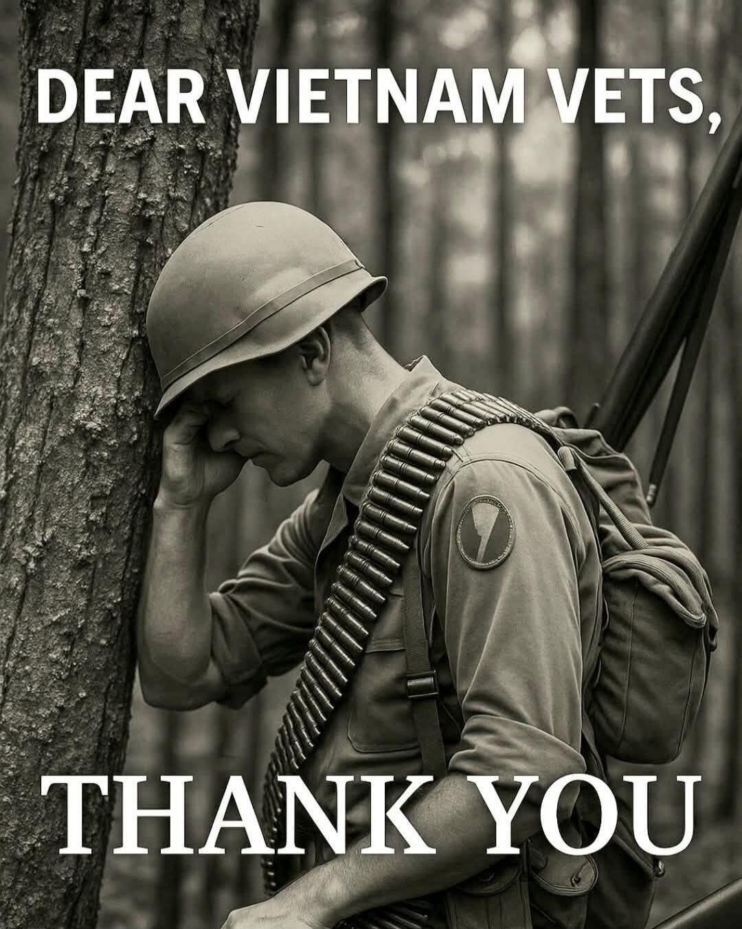 DEAR VIETNAM VETS, THANK YOU