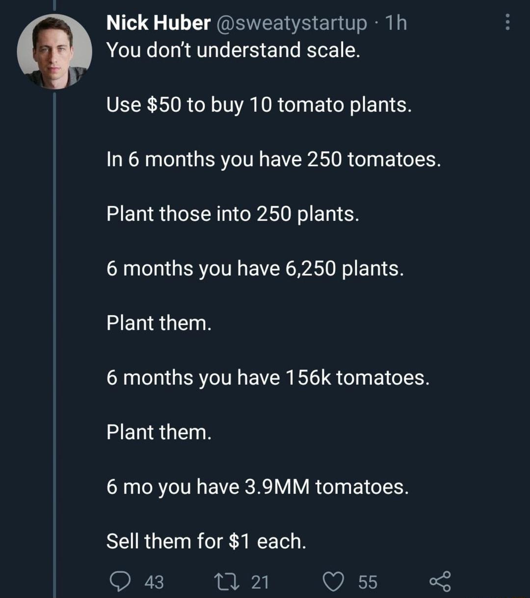 Nick Huber sweatystartup 1h You dont understand scale VRS OR ol o M KO R o n s 1 o N o E Tg 1 In 6 months you have 250 tomatoes M ET RGN WA O NI ETRI R 6 months you have 6250 plants METRGER 6 months you have 156k tomatoes Plant them 6 mo you have 39MM tomatoes Sell them for 1 each QO 43 2 Q 55 oS