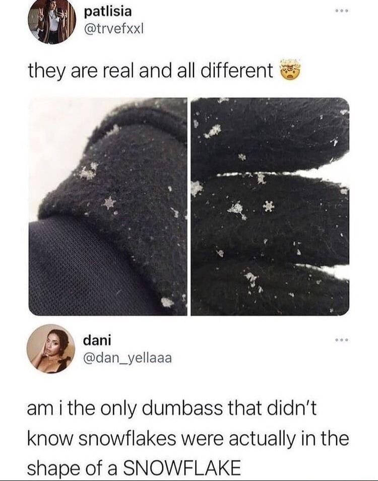 patlisia trvefxxl they are real and all different P dani Wy dan_yeliaaa am i the only dumbass that didnt know snowflakes were actually in the shape of a SNOWFLAKE