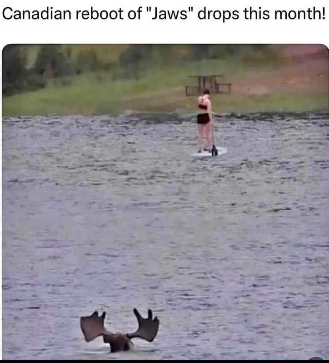 Canadian reboot of 