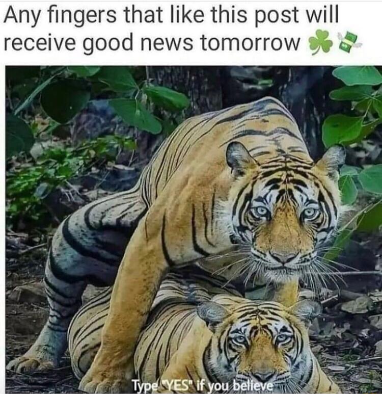 Any fingers that like this post will receive good news tomorrow