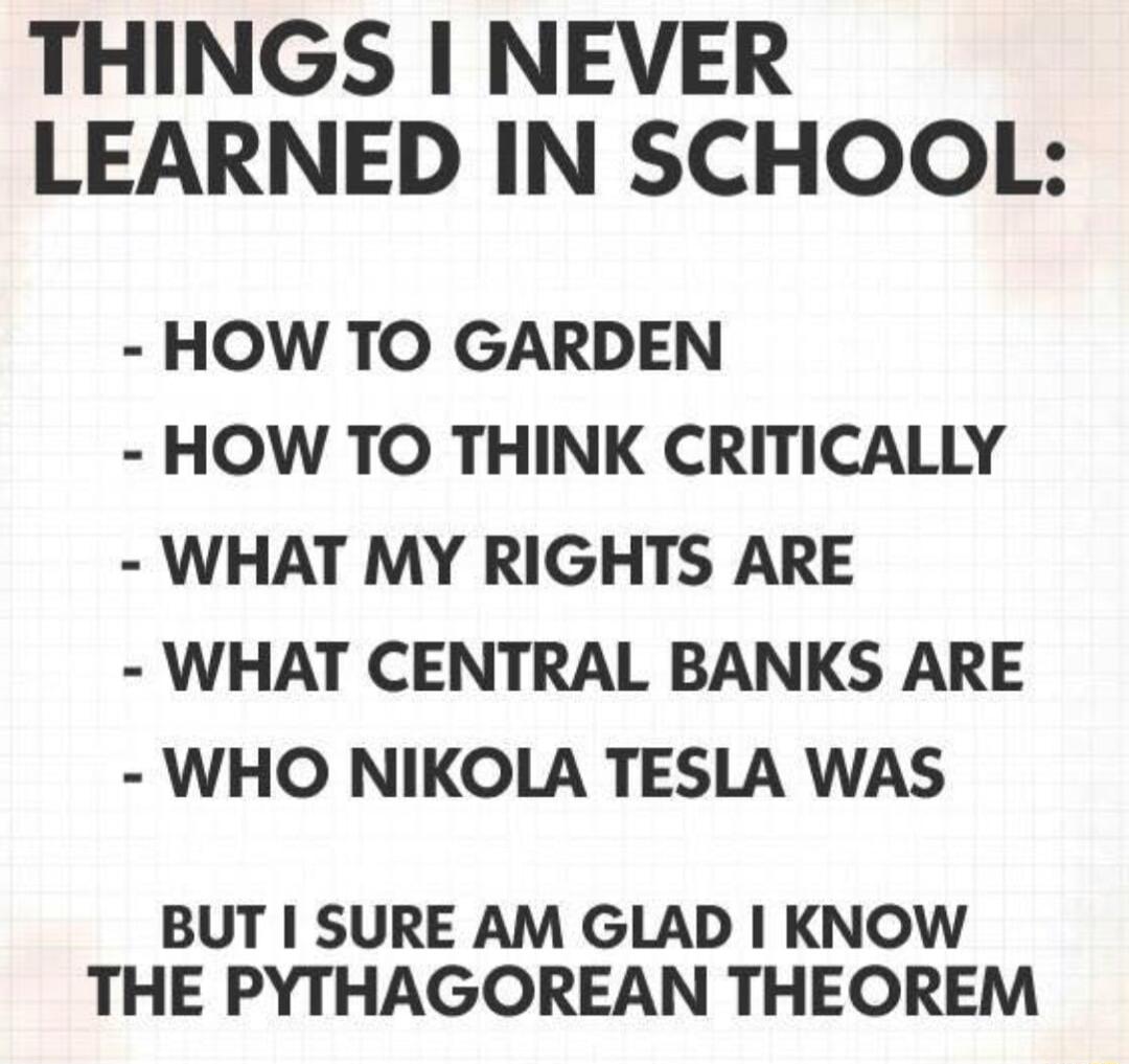 THINGS NEVER LEARNED IN SCHOOL HOW TO GARDEN HOW TO THINK CRITICALLY WHAT MY RIGHTS ARE WHAT CENTRAL BANKS ARE WHO NIKOLA TESLA WAS BUT SURE AM GLAD KNOW THE PYTHAGOREAN THEOREM