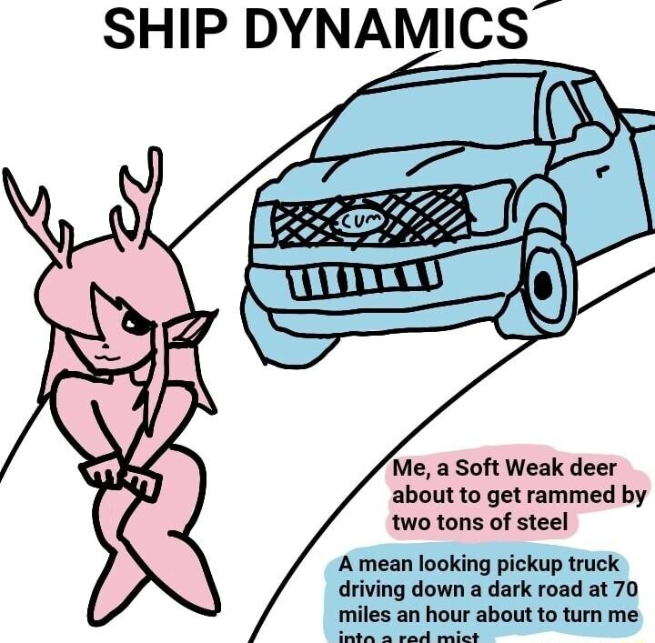 SHIP DYNAMICS