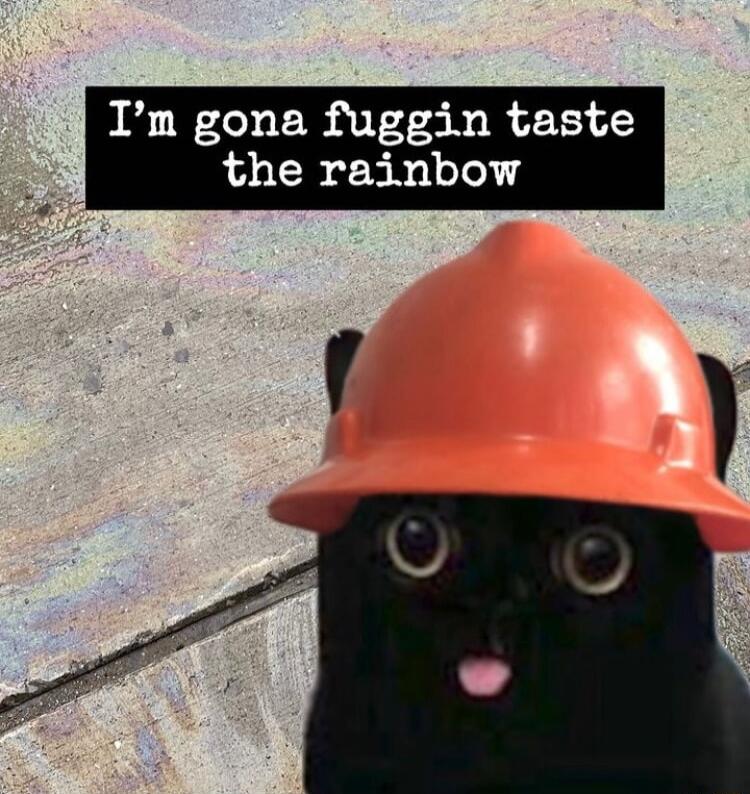 Im gona fuggin taste the rainbow