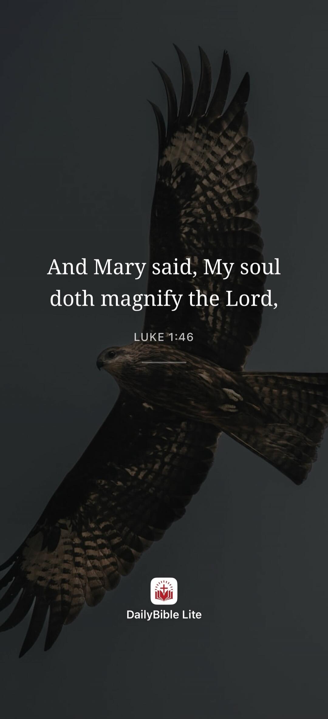 And Mary said, My soul doth magnify the Lord, LUKE 1:46 DailyBible Lite