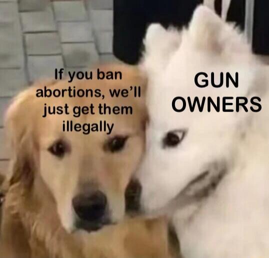 i ban GUN bortions well y ausielh OWNERS Ilegally P