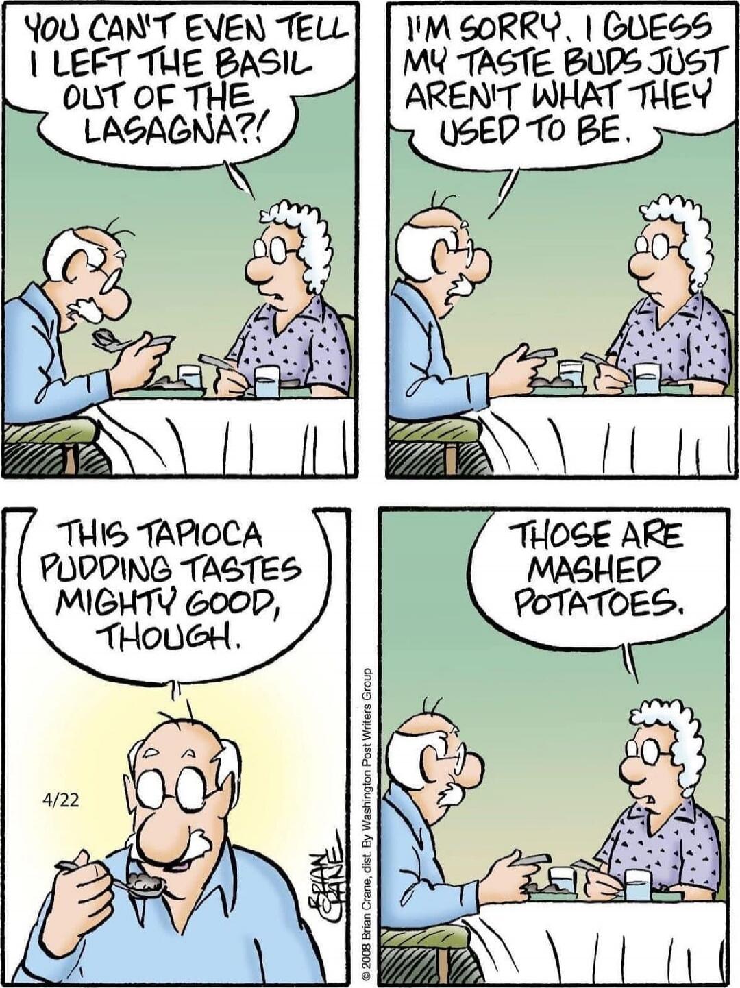 YOU CAN'T EVEN TELL I LEFT THE BASIL OUT OF LASAGNA?!
I'M SORRY, I GUESS MY TASTE BUDS JUST AIN'T WHAT THEY USED TO BE.
THIS TAPIOCA PUDDING TASTES MIGHTY GOOD, THOUGH.
THOSE ARE MASHED POTATOES.