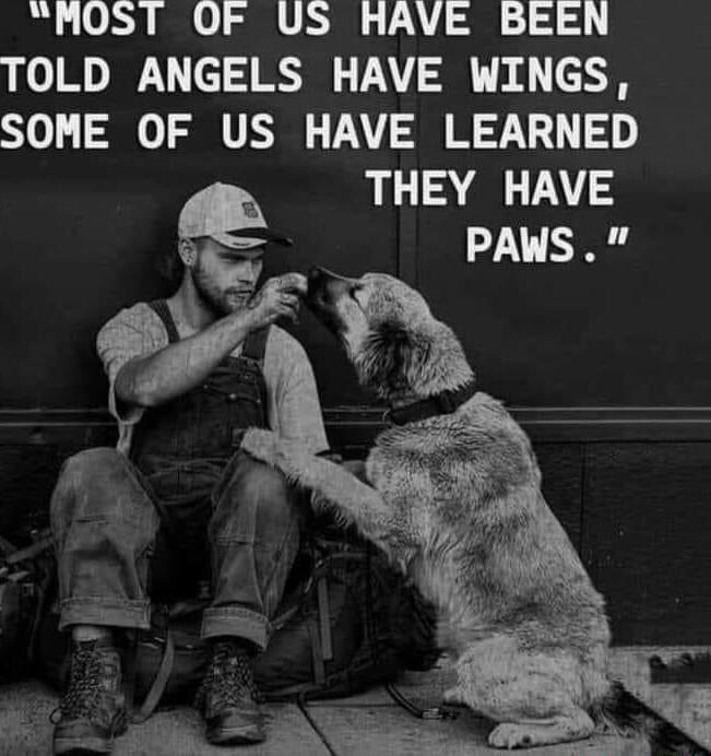 MOST OF US HAVE BEEN TOLD ANGELS HAVE WINGS SOME OF US HAVE LEARNED THEY HAVE