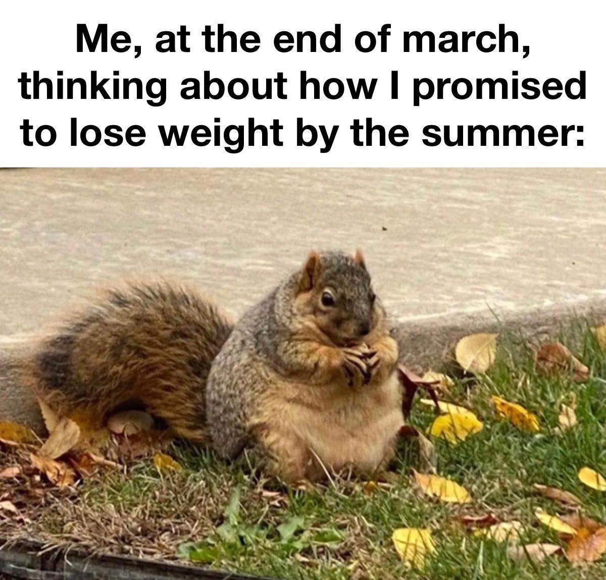 Me at the end of march thinking about how promised to lose weight by the summer