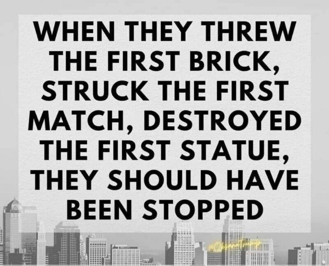 WHEN THEY THREW THE FIRST BRICK STRUCK THE FIRST MATCH DESTROYED THE FIRST STATUE THEY SHOULD HAVE BEEN STOPPED T