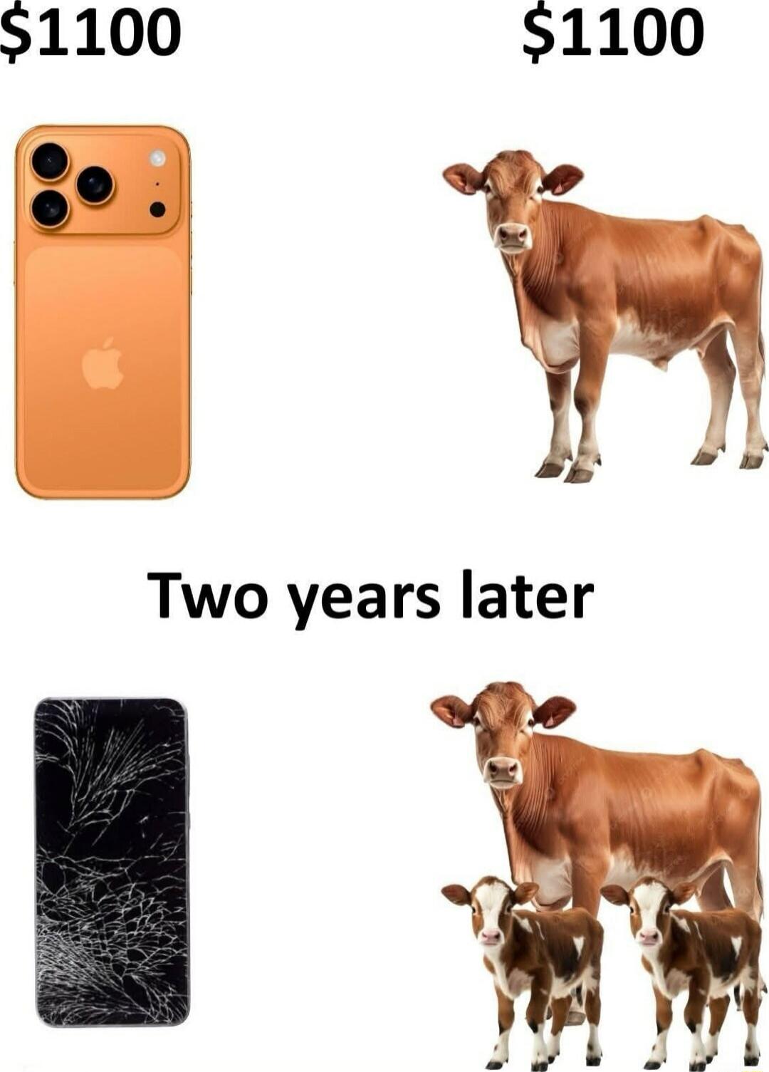 $1100
$1100
Two years later