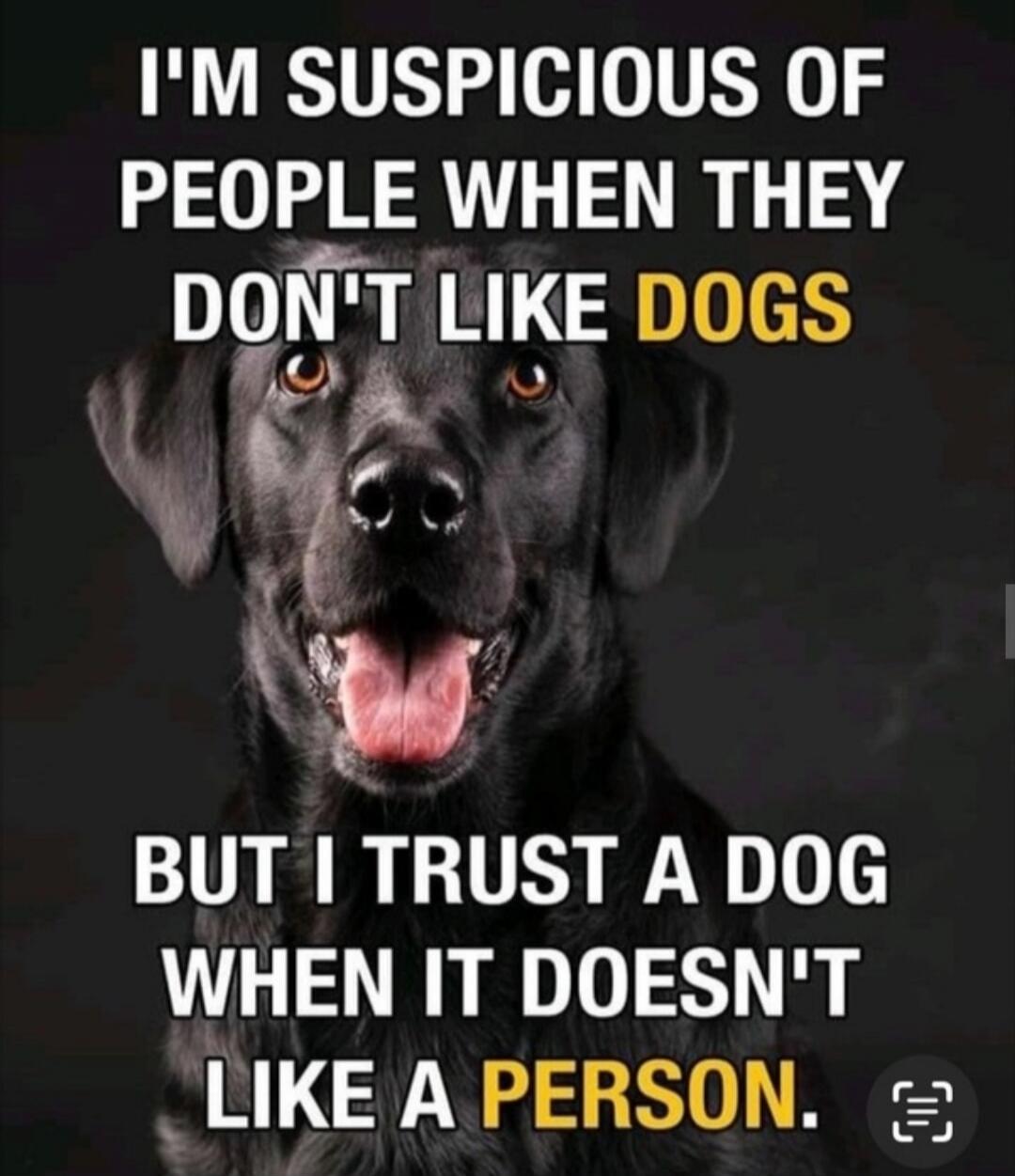 I'M SUSPICIOUS OF PEOPLE WHEN THEY DON'T LIKE DOGS BUT I TRUST A DOG WHEN IT DOESN'T LIKE A PERSON.