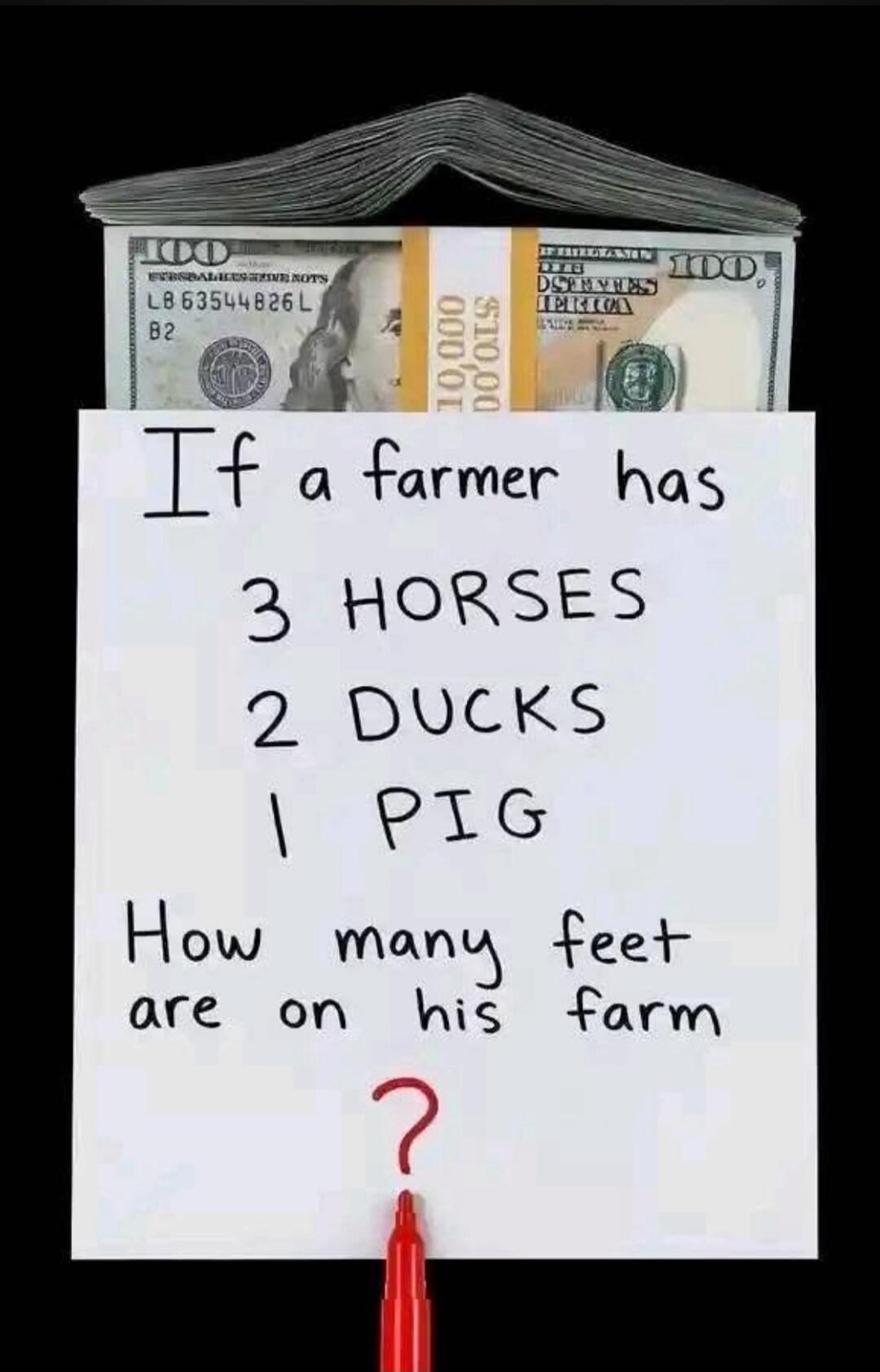 If a farmer has 3 HORSES 2 DUCKS 1 PIG How many feet are on his farm