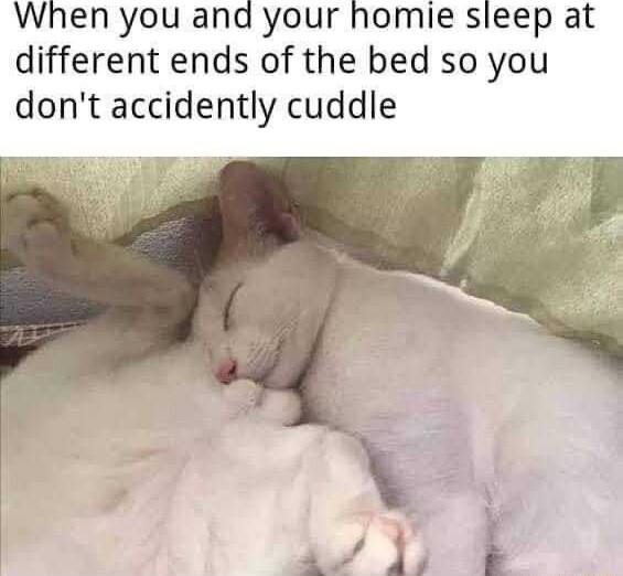 When you and your homie sleep at different ends of the bed so you dont accidently cuddle