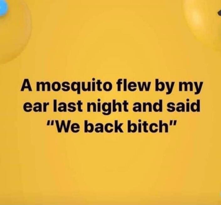 A mosquito flew by my ear last night and said 