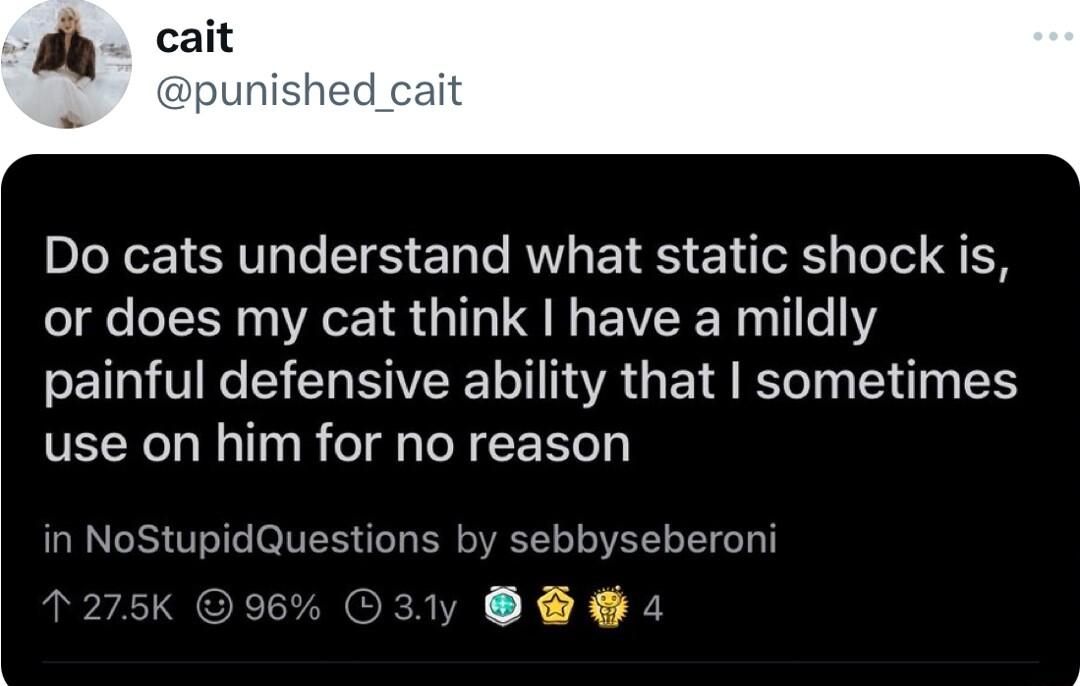 Do cats understand what static shock is or does my cat think have a mildly painful defensive ability that sometimes VYL I T R T PR CER in NoStupidQuestions by sebbyseberoni ELZCES K X