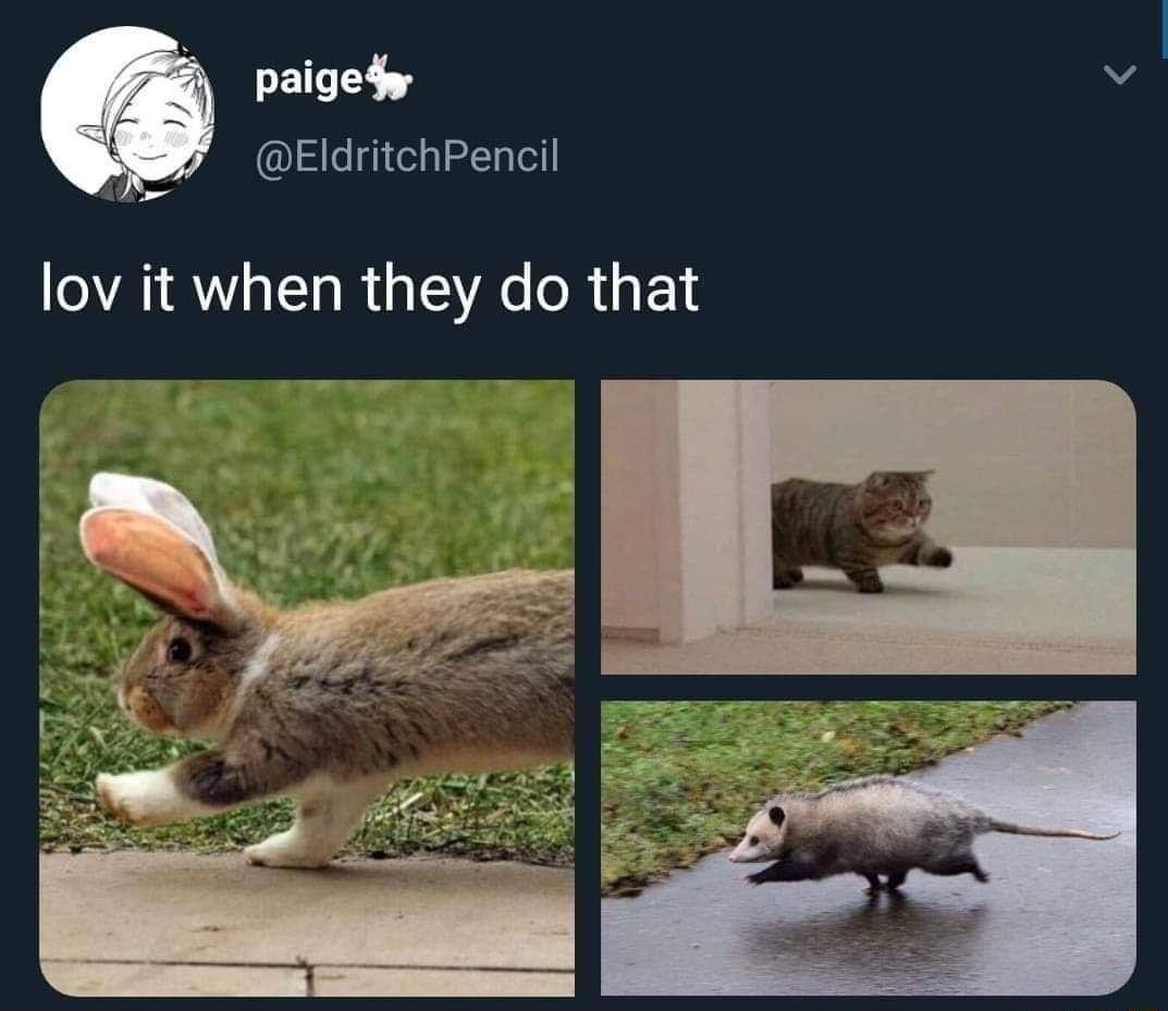 paigedy o EldritchPencil ghA lov it when they do that