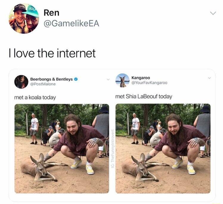 Ren GamelikeEA Ilove the internet metakoala today