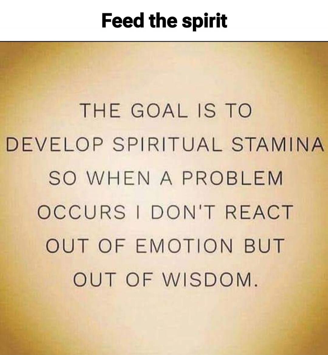 Feed the spirit. THE GOAL IS TO DEVELOP SPIRITUAL STAMINA SO WHEN A PROBLEM OCCURS I DON'T REACT OUT OF EMOTION BUT OUT OF WISDOM.