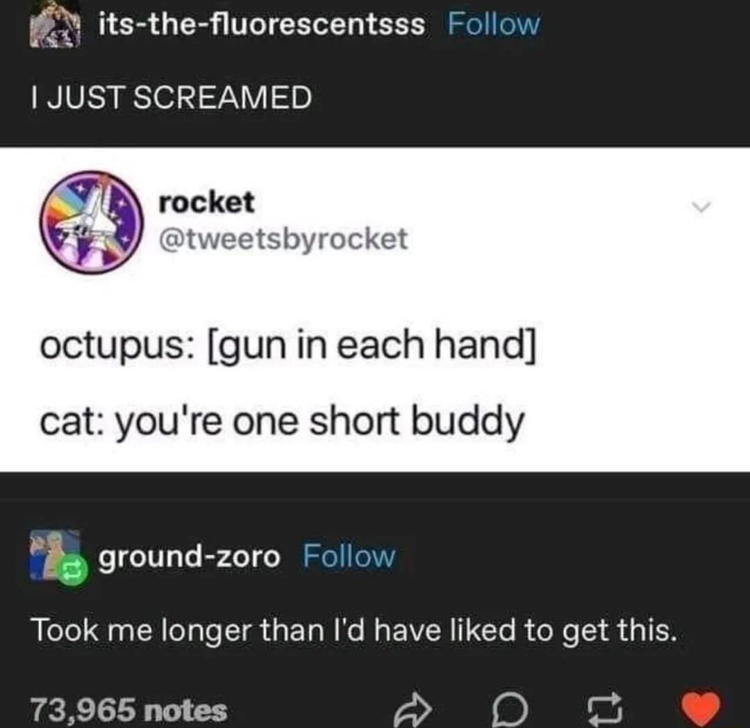 Yy its the fluorescentsss 1 JUST SCREAMED octupus gun in each hand cat youre one short buddy ground zoro Took me longer than Id have liked to get this 73965 notes 7 S 5 T e