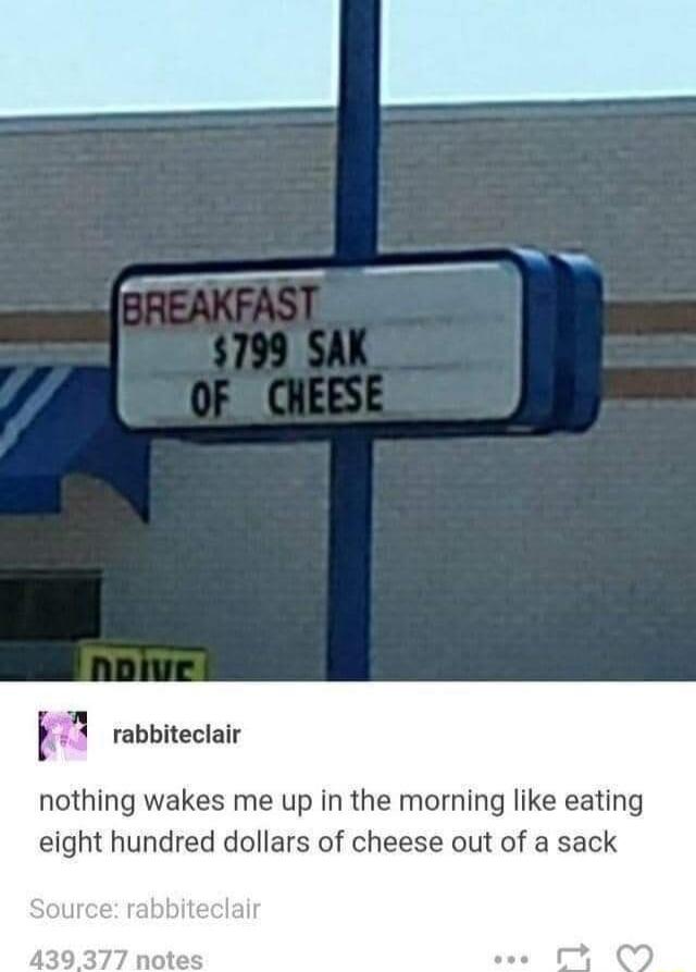 rabbiteclair nothing wakes me up in the morning like eating eight hundred dollars of cheese out of a sack