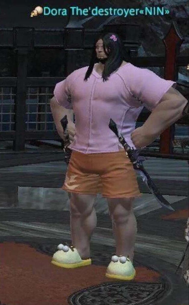 Dora mdestoyermlw
