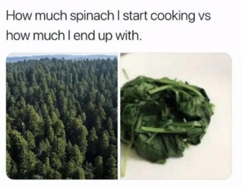 How much spinach start cooking vs how much end up with