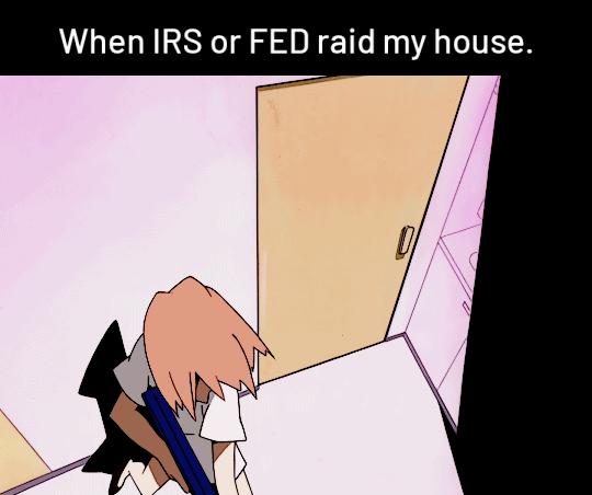 When IRS or FED raid my house