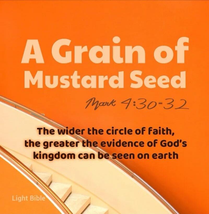 A Grain of Mustard Seed Mark 4:30-32 The wider the circle of faith, the greater the evidence of God's kingdom can be seen on earth Light Bible