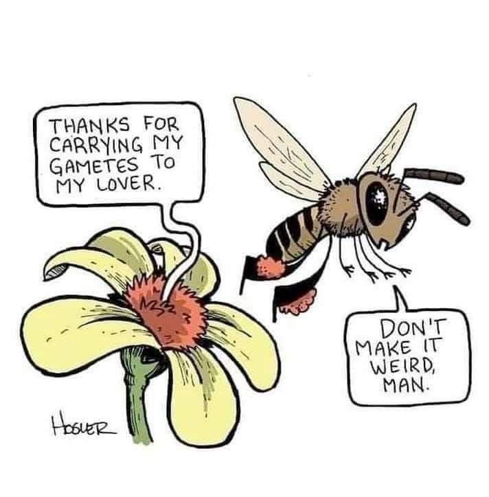 THANKS FOR CARRYING MY GAMETES TO MY LOVER