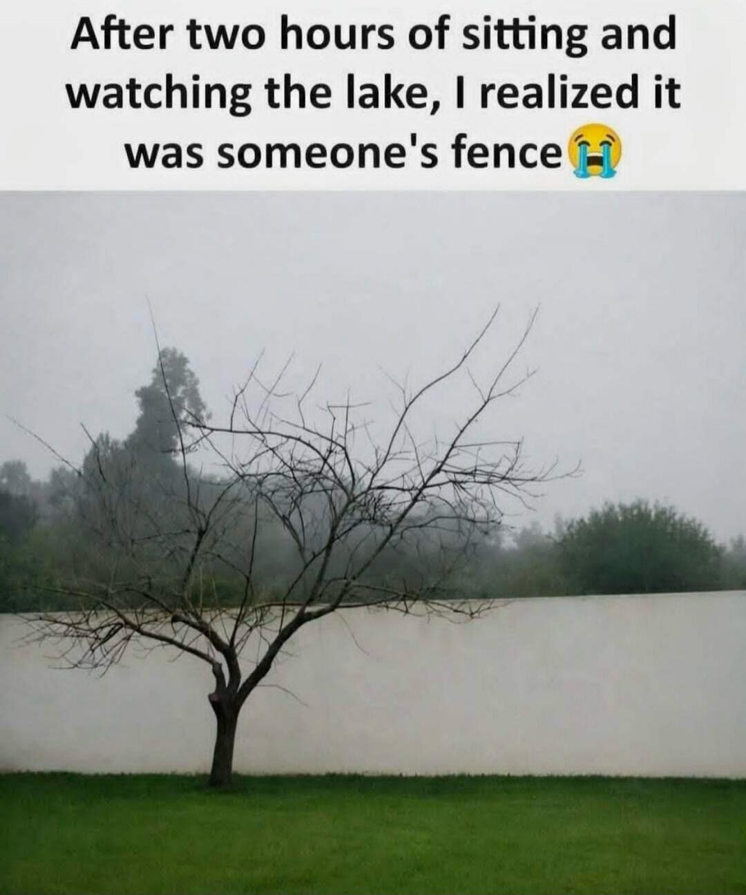 After two hours of sitting and watching the lake, I realized it was someone's fence 😭